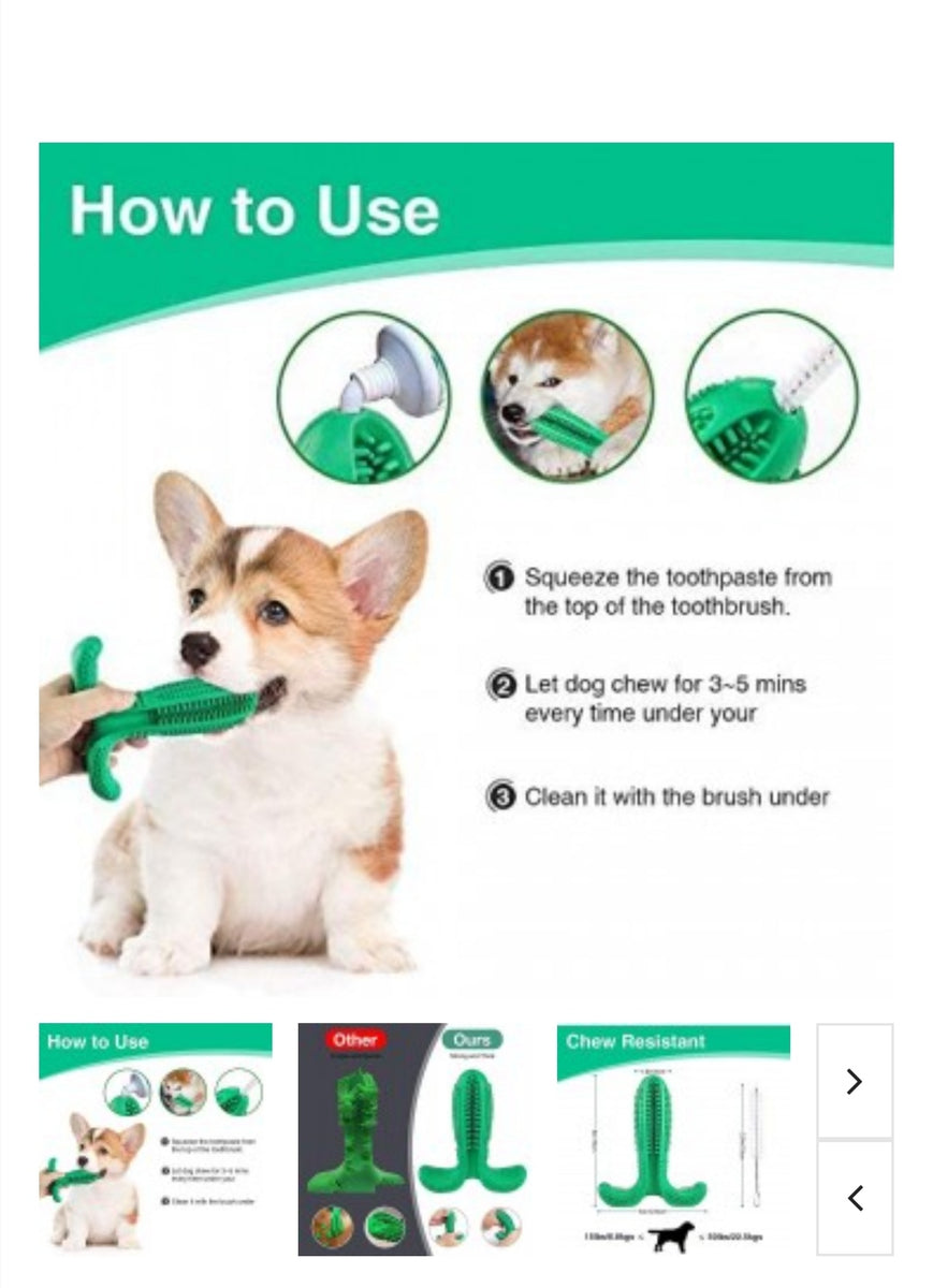 Dog best sale chew toothbrush