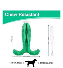 Load image into Gallery viewer, Toothbrush Chew Toy/ Treat Dispenser