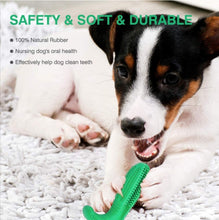 Load image into Gallery viewer, Toothbrush Chew Toy/ Treat Dispenser