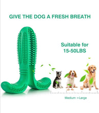 Load image into Gallery viewer, Toothbrush Chew Toy/ Treat Dispenser