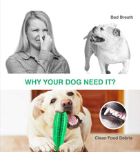 Load image into Gallery viewer, Toothbrush Chew Toy/ Treat Dispenser