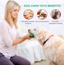Load image into Gallery viewer, Toothbrush Chew Toy/ Treat Dispenser