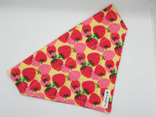 Load image into Gallery viewer, Berry Burst Bandana