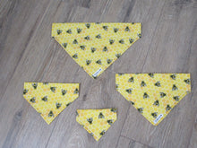 Load image into Gallery viewer, Bee Honeycomb Bandana