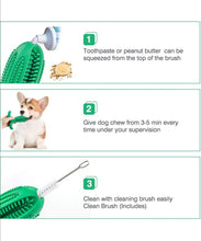 Load image into Gallery viewer, Toothbrush Chew Toy/ Treat Dispenser